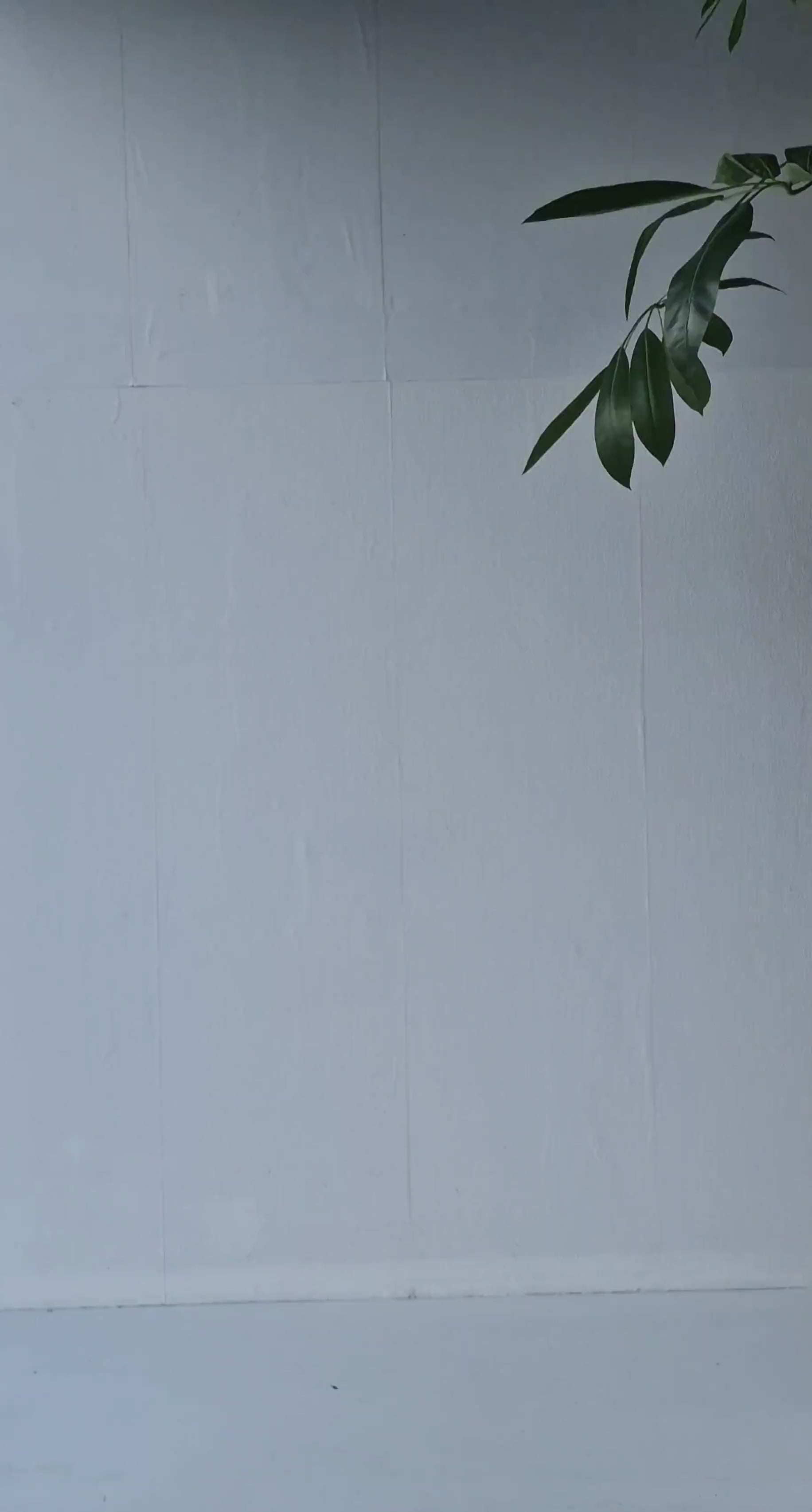 Extra langes, weites Bein | mehrfarbig | groß | Längenmaß 32, 34 und 36 